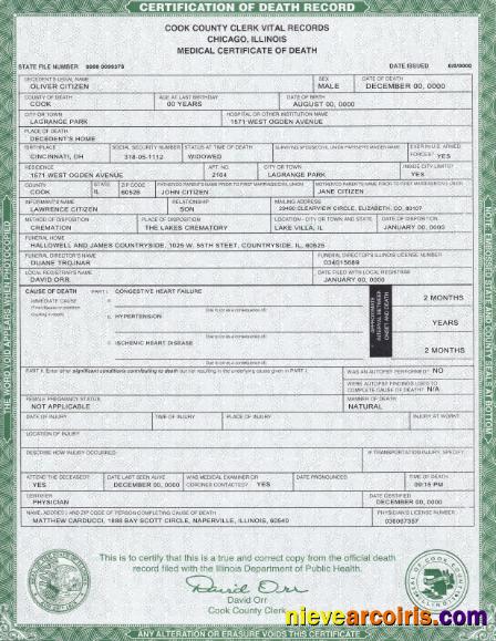 USA Illinois state death certificate